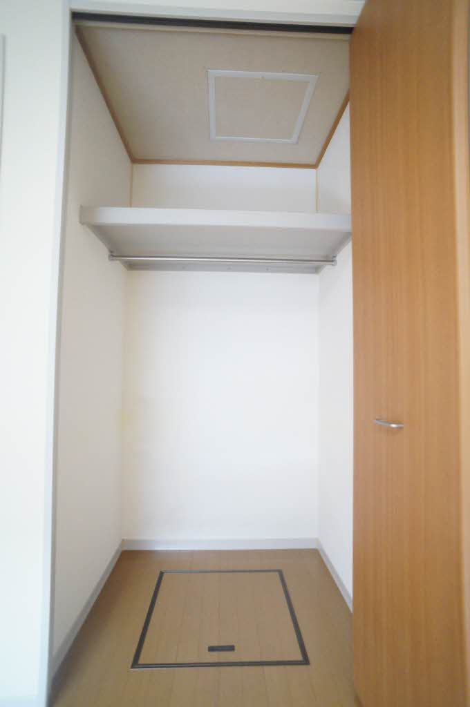 パースニップ・ｆ 103号-6