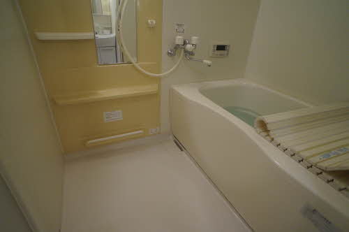 ＭＡＩＳＯＮ・ＭＡＳＴ城南 303号-11