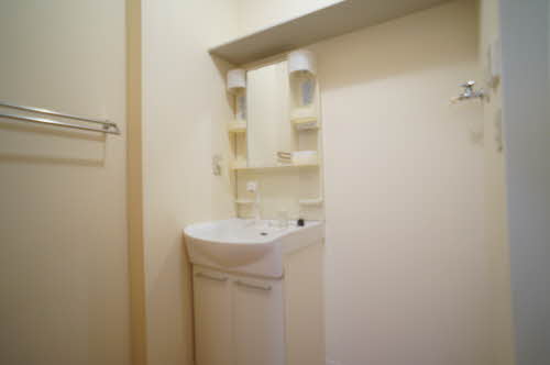 シャーメゾン・ポランD D203号-7