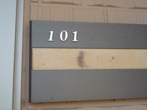 シャーメゾンＳ 101号-9