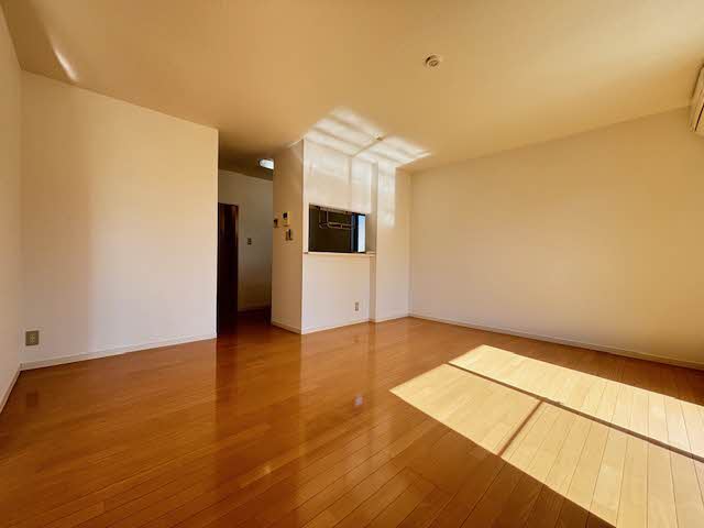 プルメリアA A101号-3