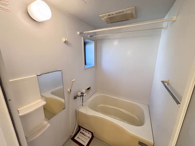 プルメリアA A101号-6