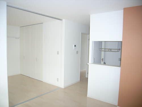 メゾンマスト南中央 C103号-9