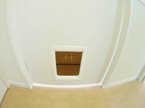 シャーメゾンタウン八重田Ｃ C202号-6