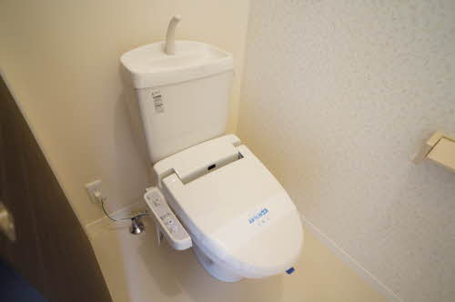 ロイヤル・ガーデン 202号-11