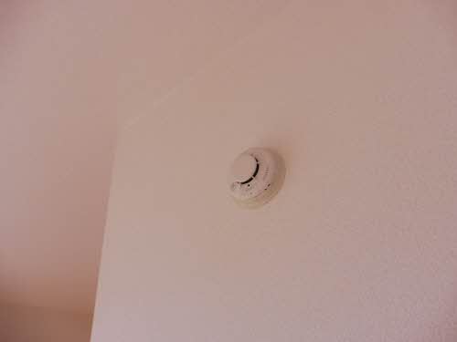 ドミールいつき 102号-8