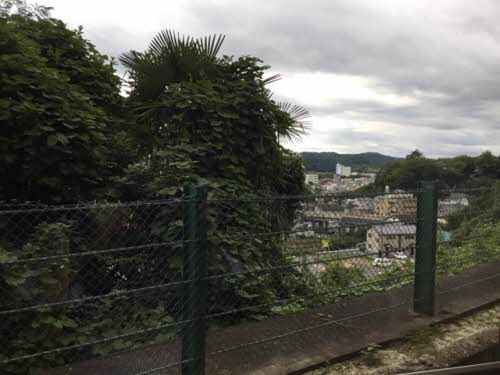 桜庵 101号-13