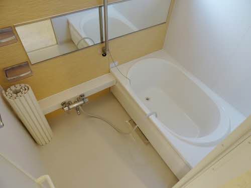 メゾン・リュウキンカ A101号-5