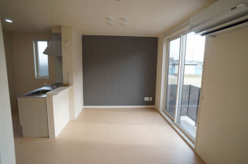 ＳｈａＭａｉｓｏｎ　Ｌａｋｉ B101号-12