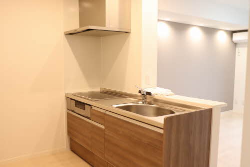 ＶＩＬＬＡ新町 303号-3