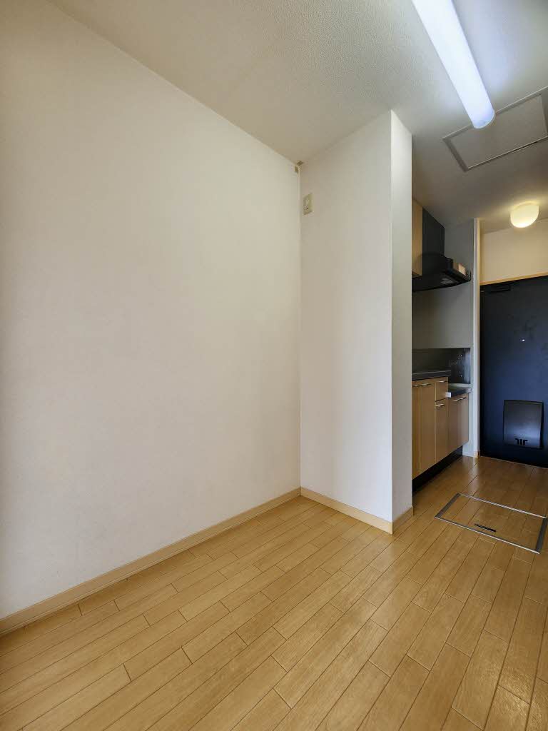 リィ・シイン 102号-6