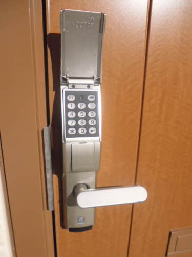 ルピナス　Ｂ B202号-2