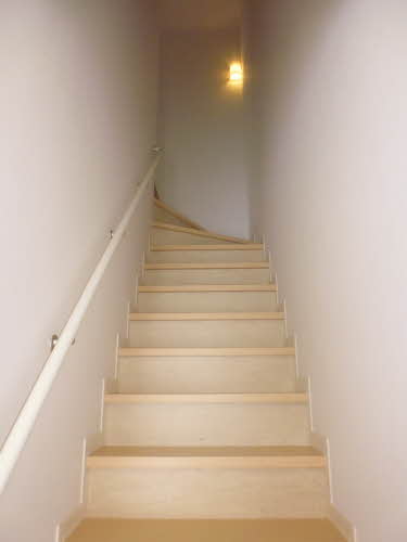 ルピナス　Ｂ B202号-5