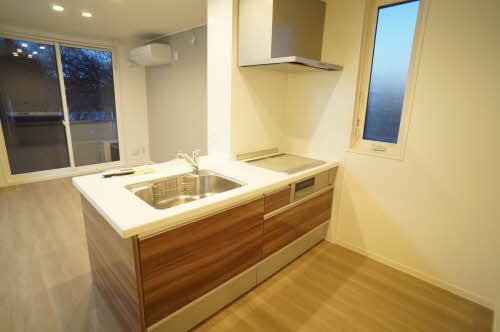 メゾンリバレイン 101号-1