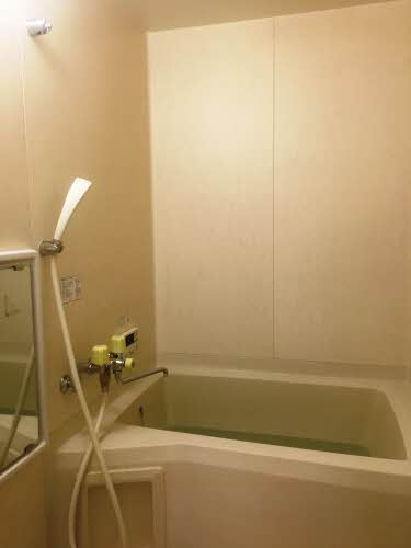 グリーンシャトル柳沼 105号-7