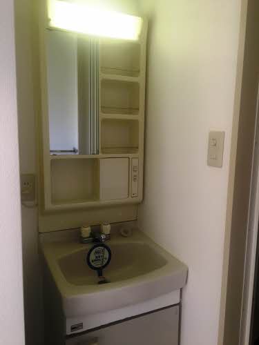 グリーンシャトル柳沼 105号-8