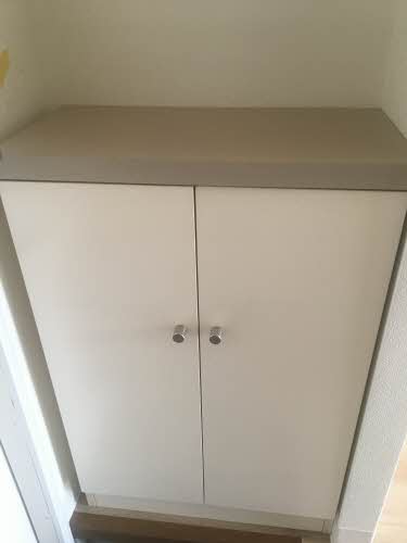 グリーンシャトル柳沼 105号-11