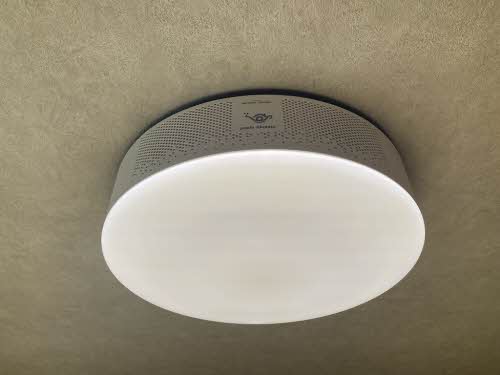 エストグラン　虎丸 201号-13