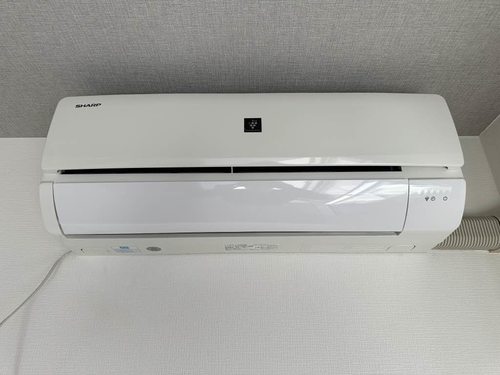 その他画像13