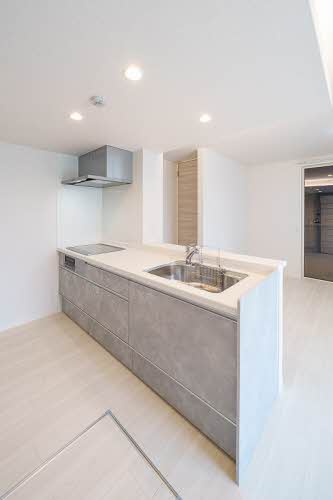 シャーメゾンＮ・Ⅴ 101号-4