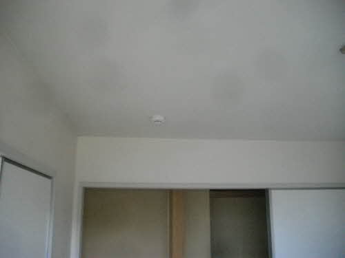 シャトー静 201号-6