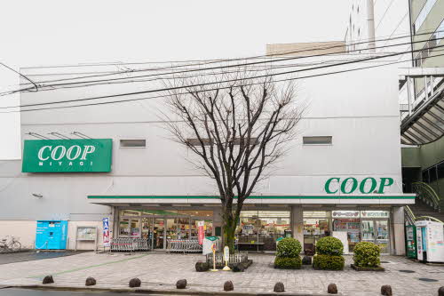 グローレン柏木 101号-4