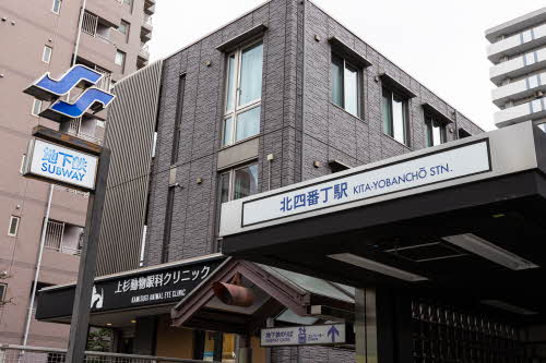 グローレン柏木 208号-5