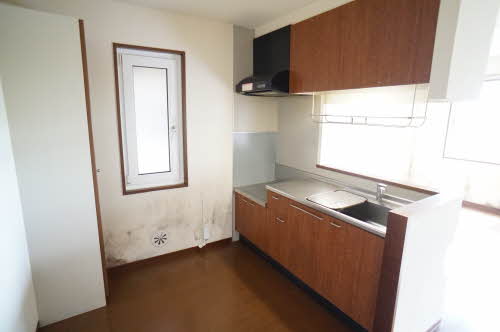 プラチディア 101号-4