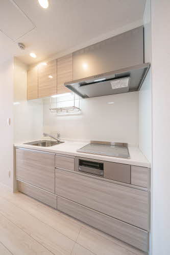 リッシュあけぼの 305号-4