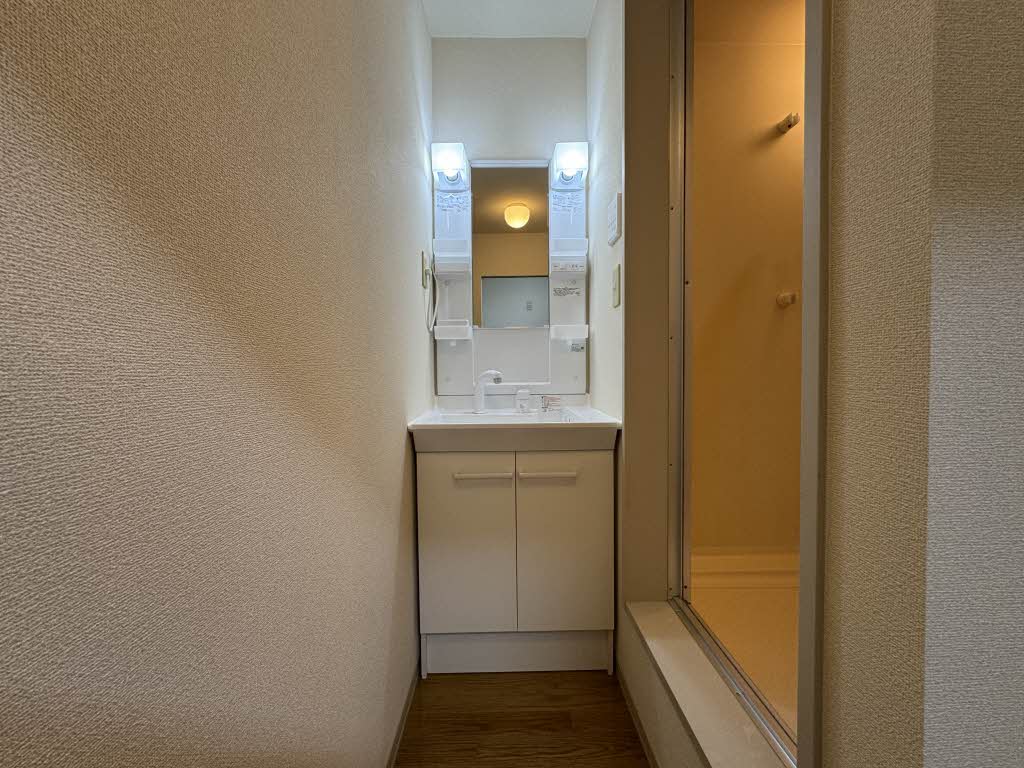 ディアス・ルフラン B201号-8