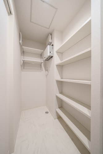 ＬＵＬＵＢＩＳⅢ美田園 302号-10