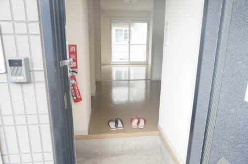 ヴィオラSIN B 106号-2