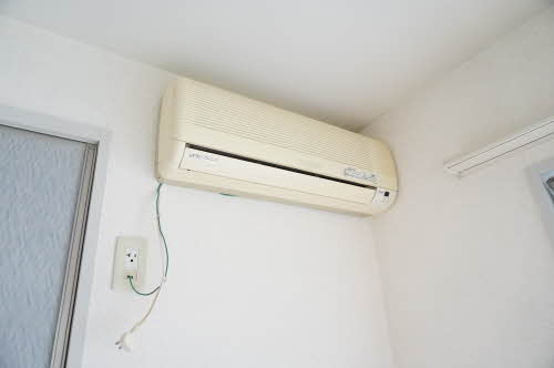 ヴィオラSIN B 106号-8