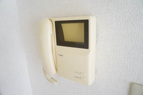 ヴィオラSIN B 106号-10