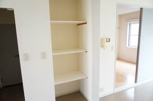 ヴィオラSIN B 106号-12