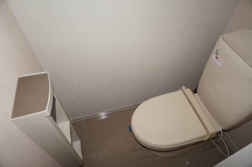 ヴィオラSIN B 106号-13