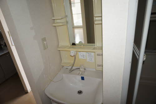 ヴィオラSIN B 106号-14