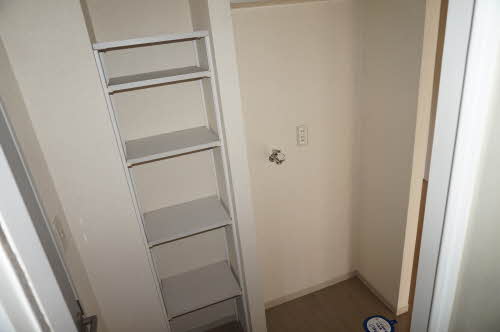 ヴィオラSIN B 106号-15