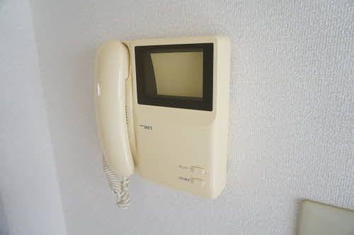 ヴィオラSIN B 205号-10