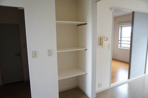 ヴィオラSIN B 205号-12