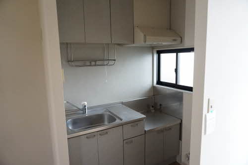 ヴィオラSIN B 205号-13