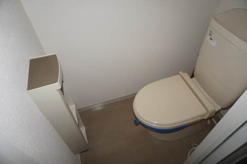 ヴィオラSIN B 205号-14