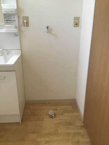 メゾンド・ウィッシュ　Ａ 101号-13