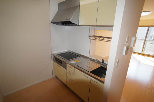 ＭＡＩＳＯＮ・ＭＡＳＴ嶋Ａ A203号-7