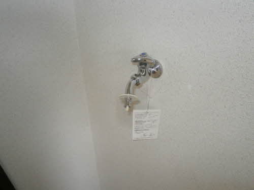 プチ・ラフォーレ 203号-10