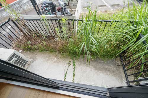 ハイネス山の寺 101号-11