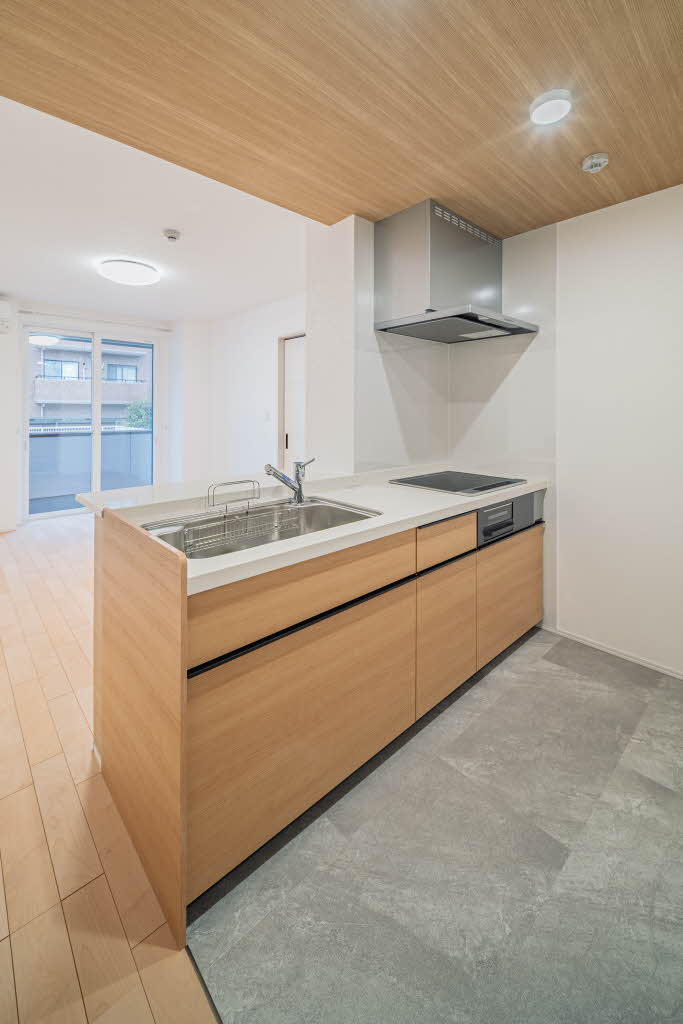 ラピス連坊 101号-5