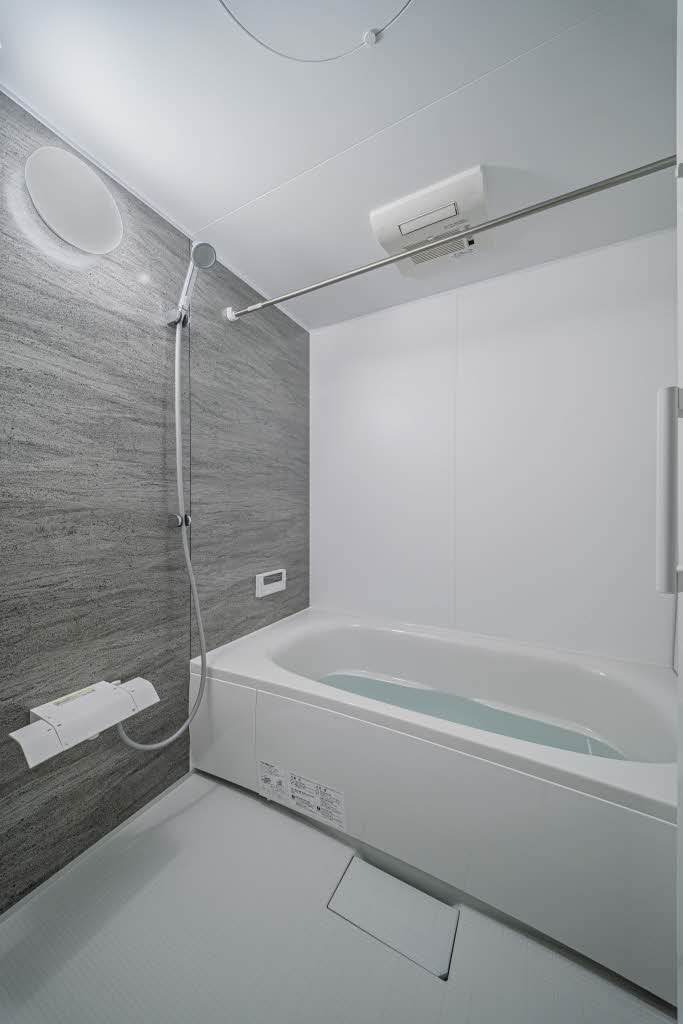 ラピス連坊 301号-9